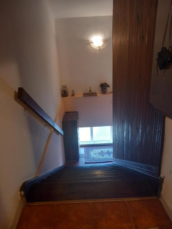 Cosy Rooftop Studio With Balcony Belgrade Luaran gambar