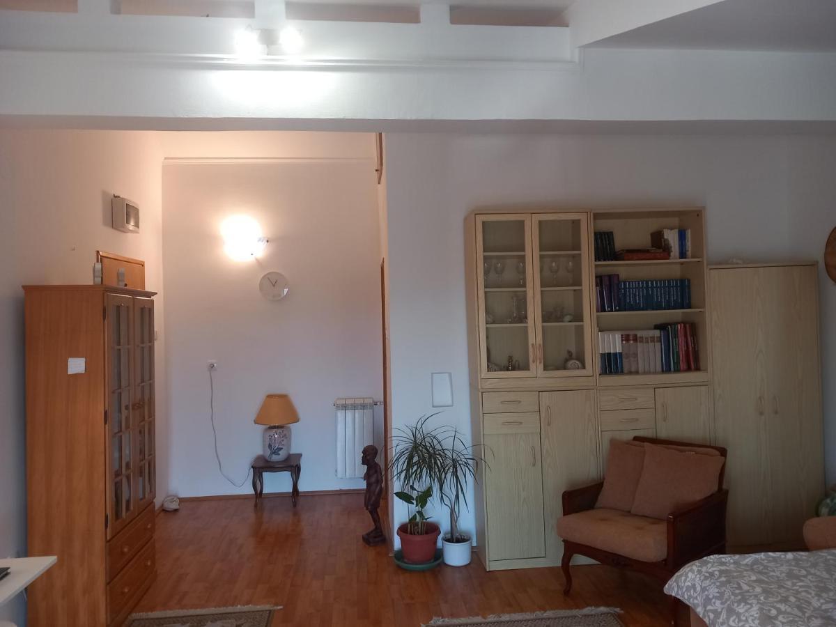 Cosy Rooftop Studio With Balcony Belgrade Luaran gambar